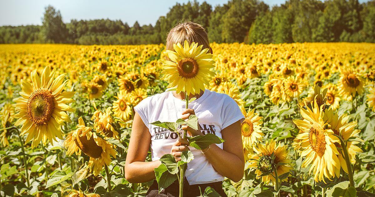 woman in sunflower field